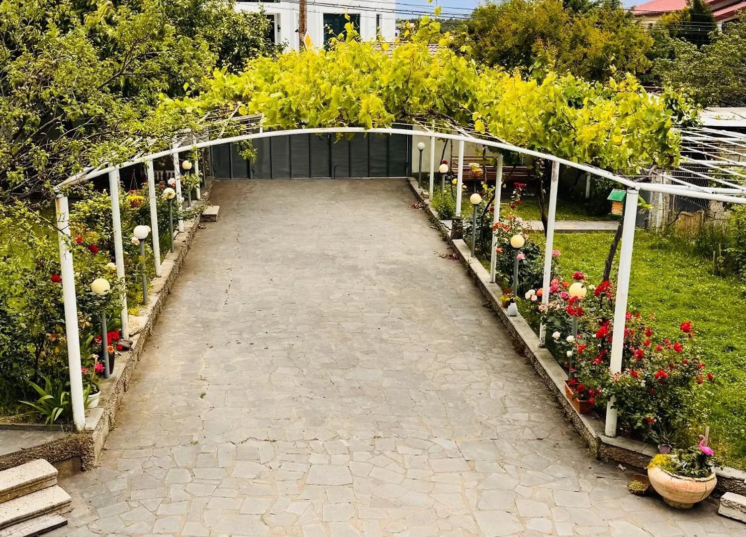 Big House Hotel Tbiliszi Grúzia